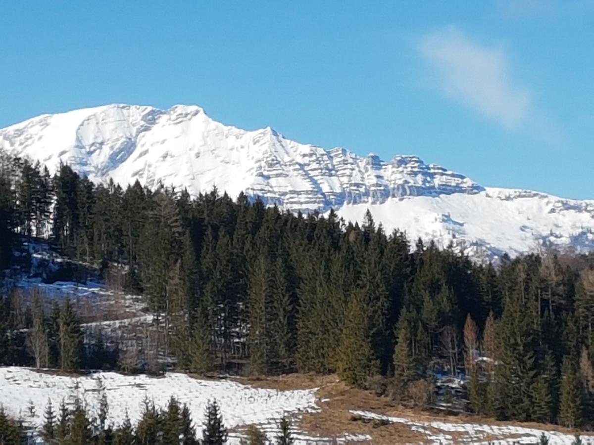 Berliner Ecke Otel Mariazell Dış mekan fotoğraf